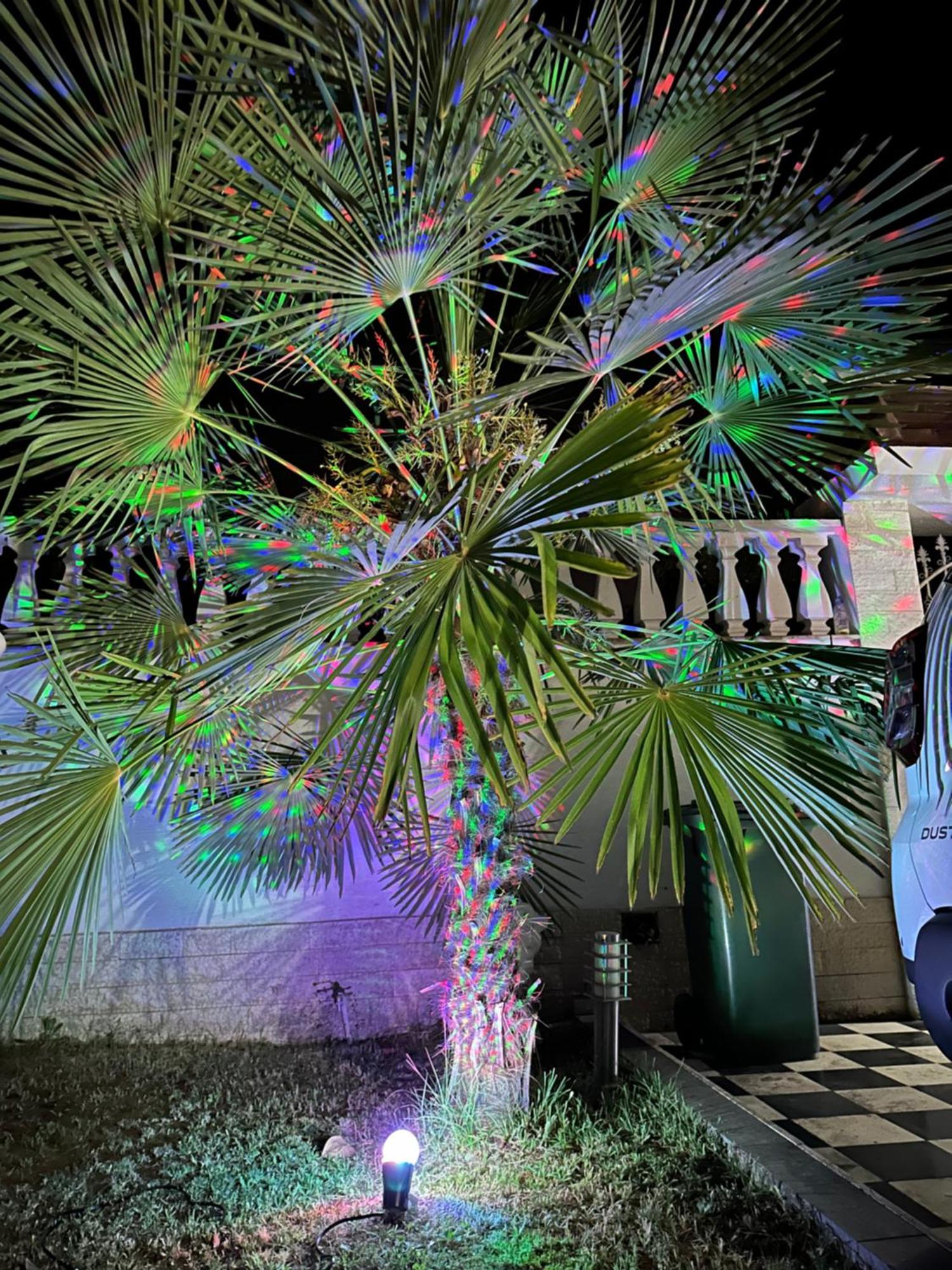 Guest House Pulake بيرات المظهر الخارجي الصورة